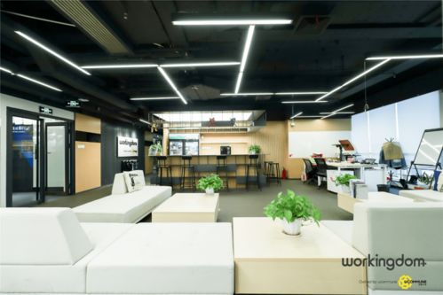 優客工場再獲殊榮 成功躋身第八批市級創業孵化示范基地