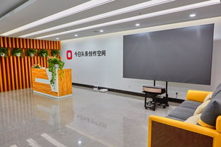 今日頭條助力西藏雙創(chuàng)事業(yè)蓬勃發(fā)展 創(chuàng)業(yè)空間服務(wù)注入新活力